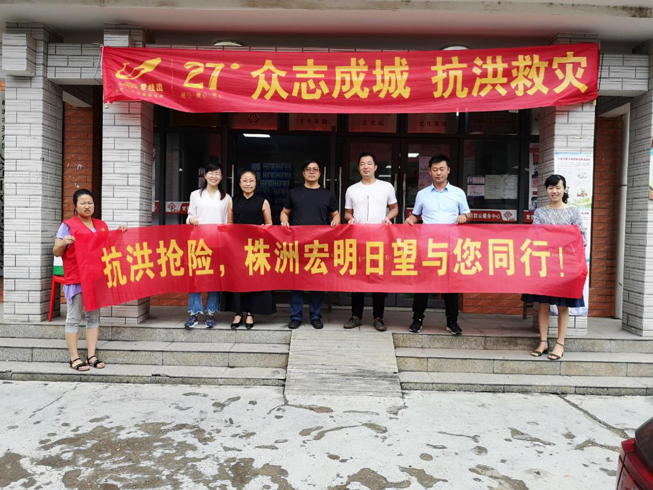 九游,宏明日望,株洲电子科技,湖南电容器,株洲电容器,电容器